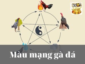 Các loại Màu Mạng Đá Gà Phổ Biến