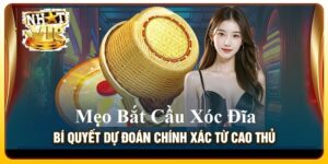 Mẹo Bắt Cầu Xóc Đĩa từ các cao thủ