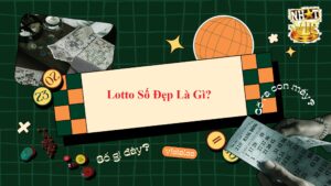 Tổng quan về Lotto Số Đẹp tại Nhatvip